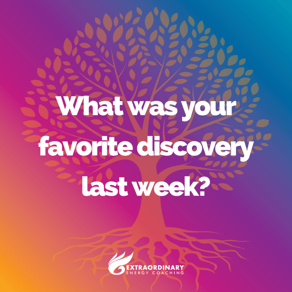 What was your favorite discovery last week?