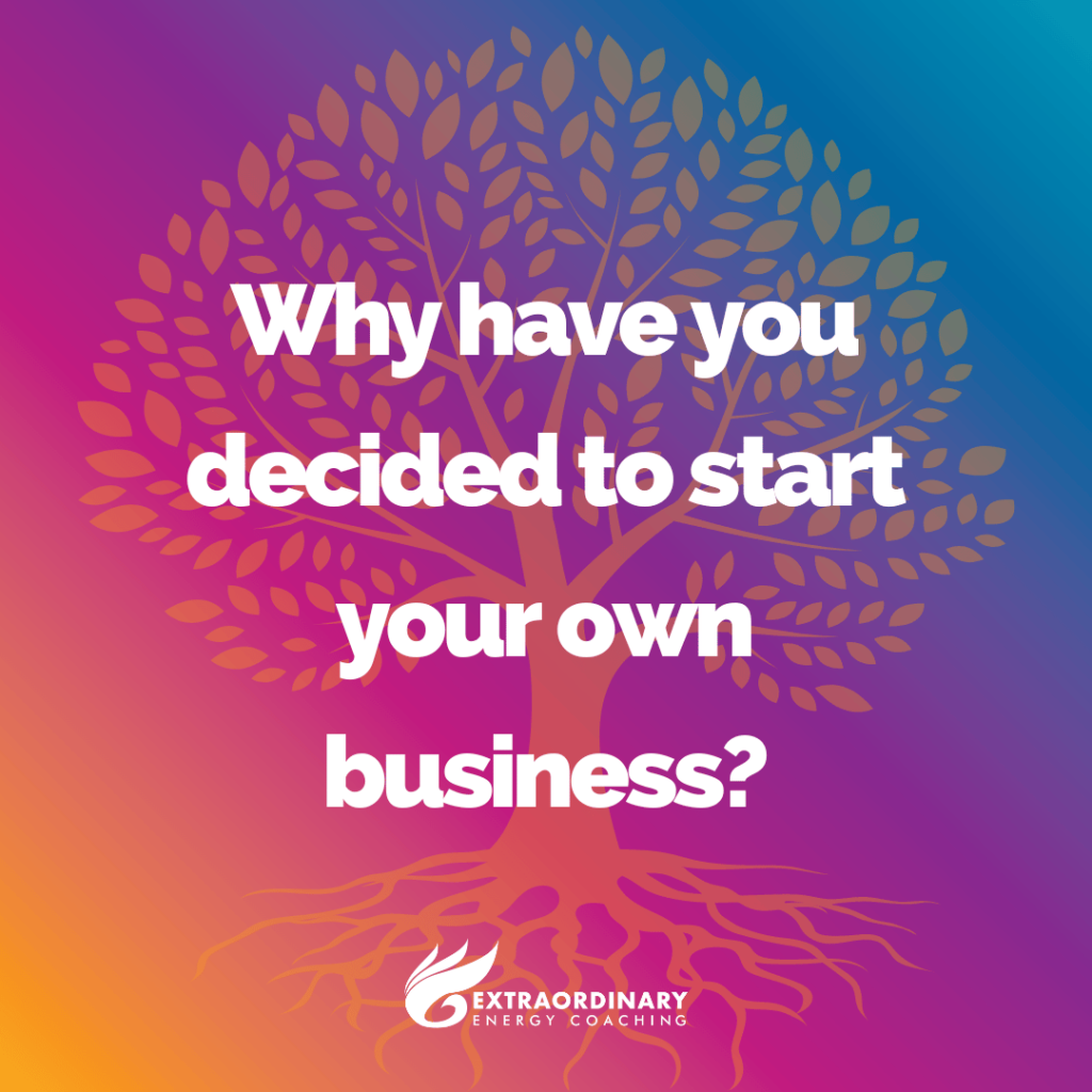 Why have you decided to start your own business?